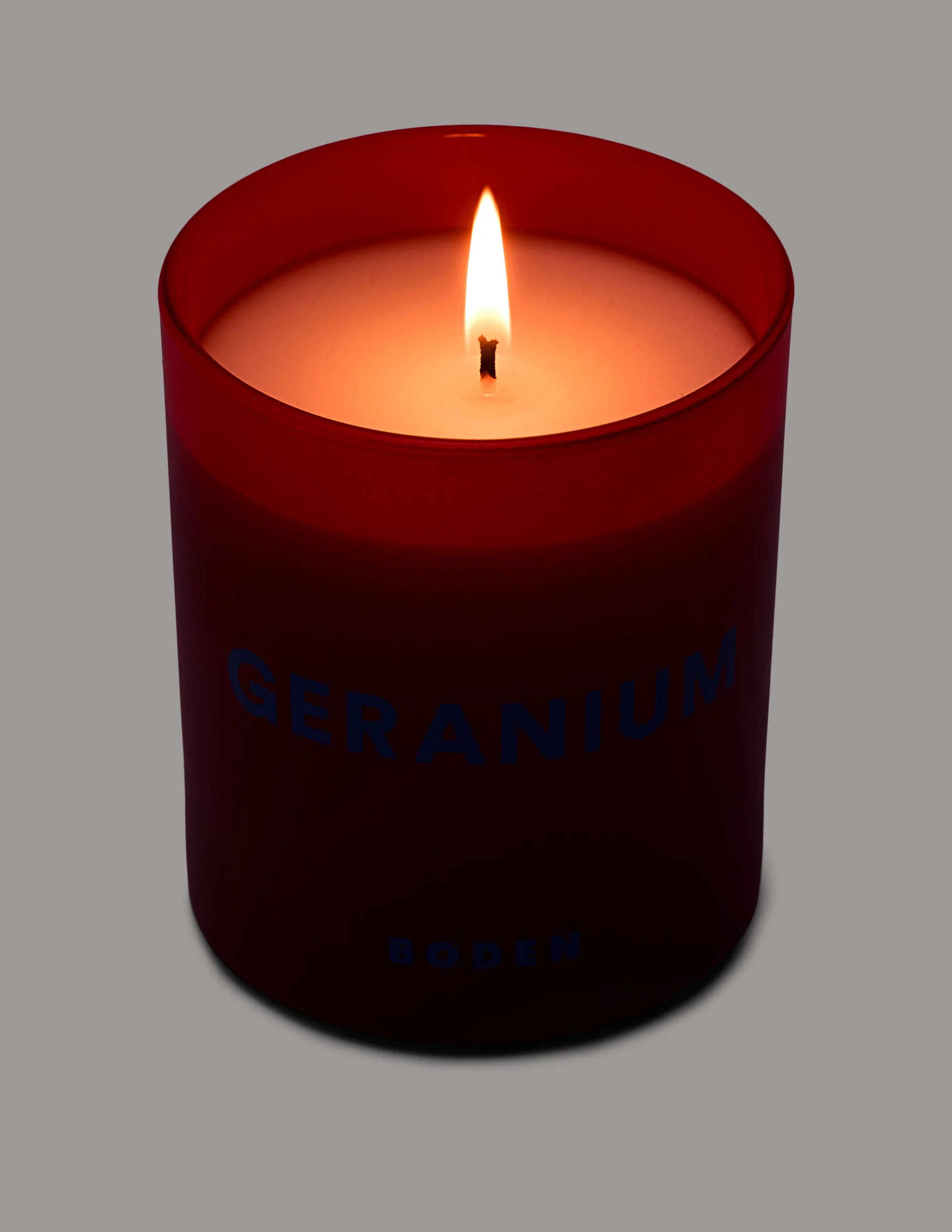 Kerze-Geranie - Image 5