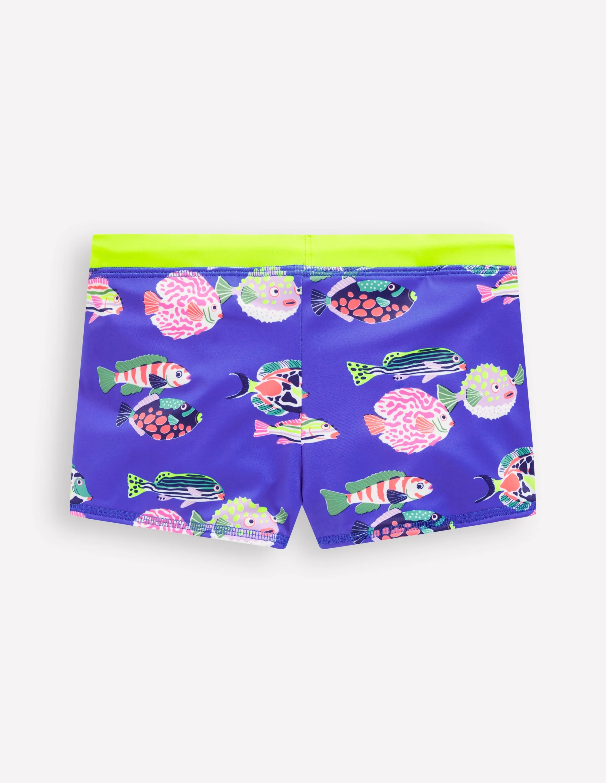 Badehose-Blaureiher Fisch - Image 2
