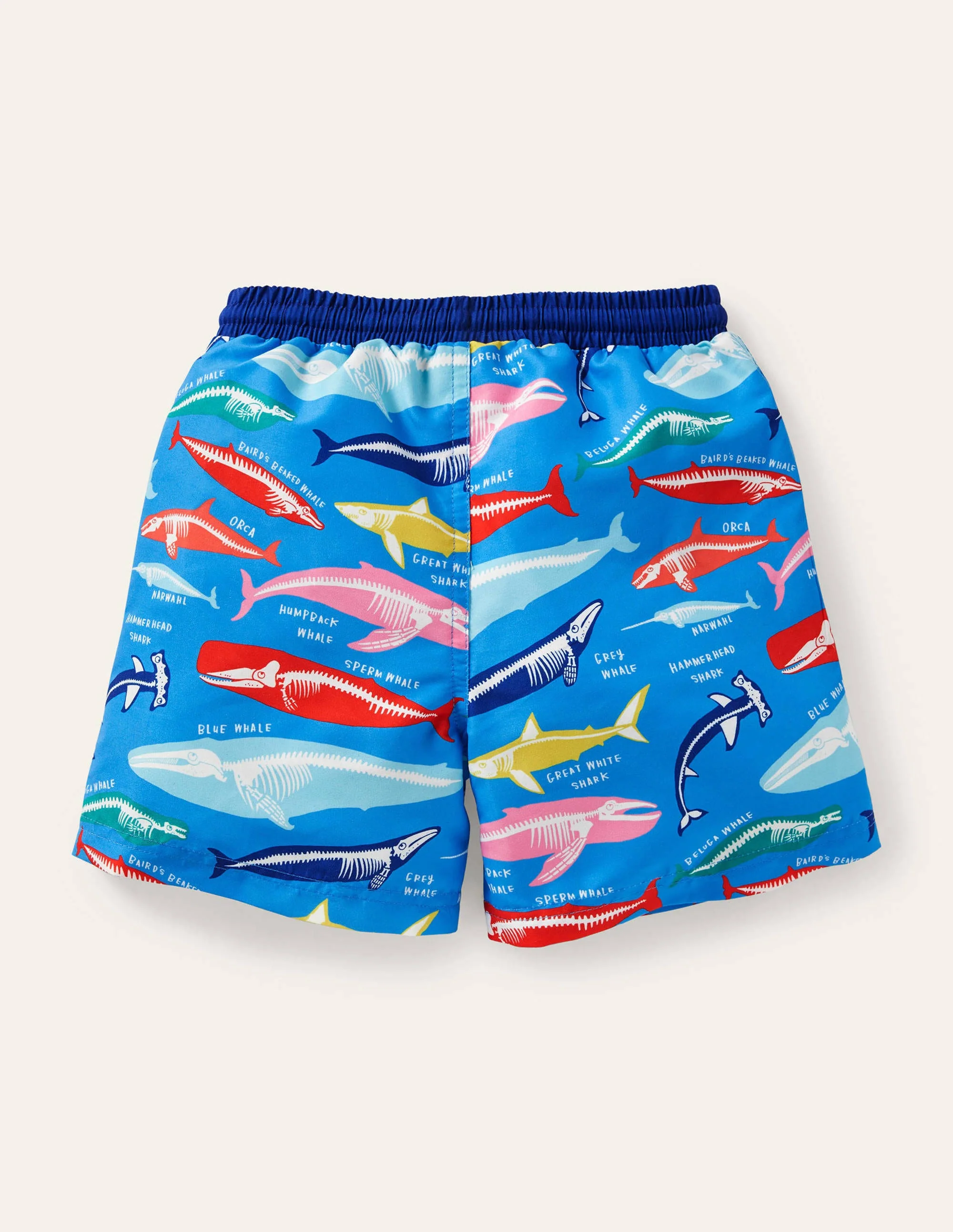 Gemusterte Badeshorts-Malibu-Blau, Walskelette - Image 2