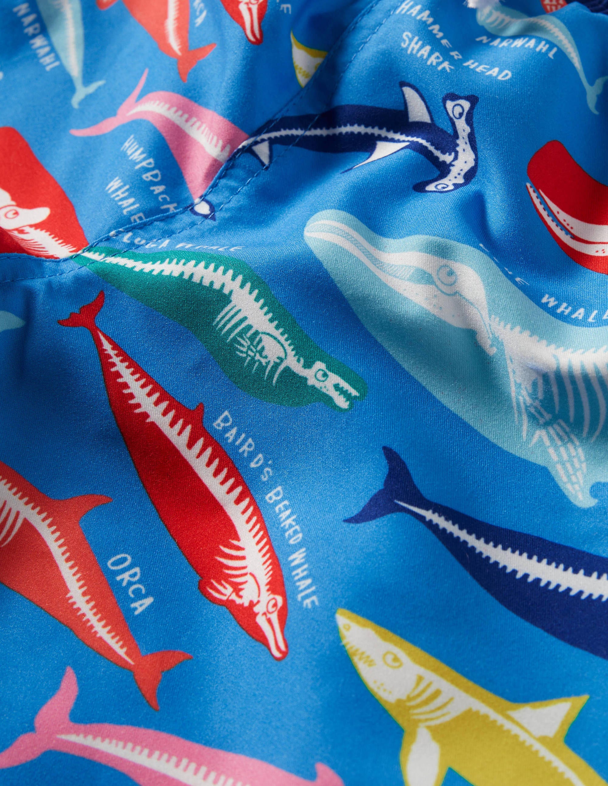 Gemusterte Badeshorts-Malibu-Blau, Walskelette - Image 3