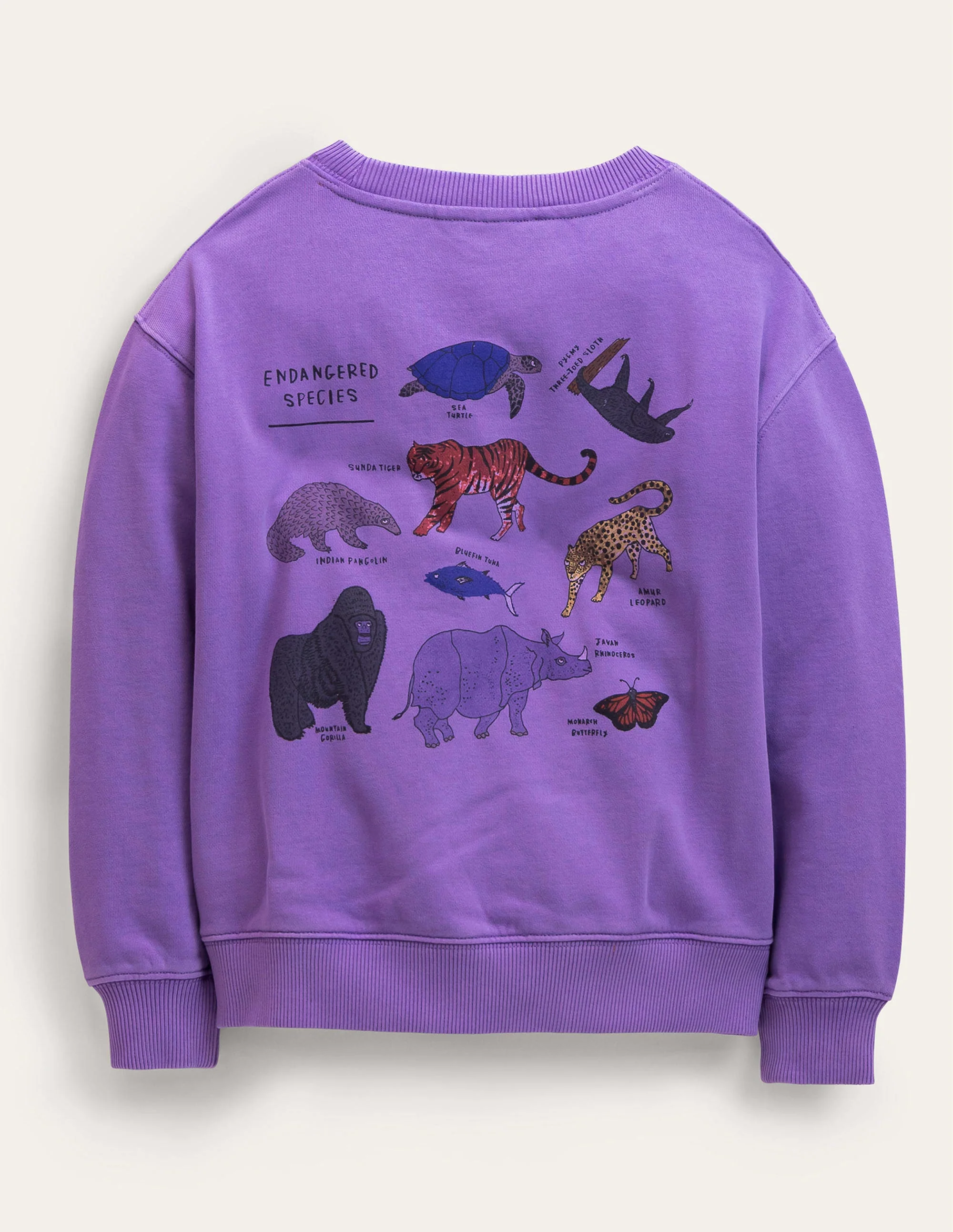 Sweatshirt mit Motiv-Asternviolett - Image 2