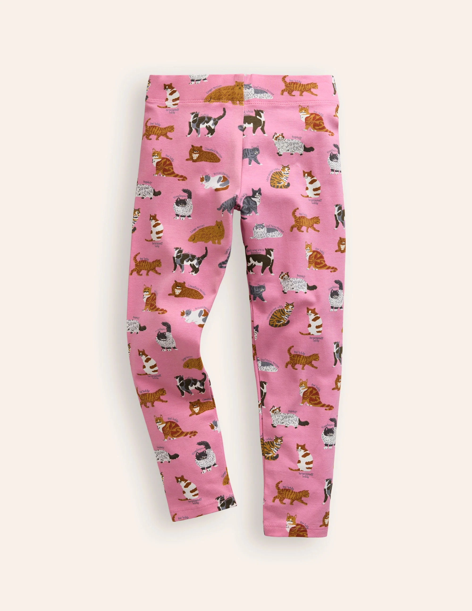 Lustige Leggings-Kirschblütenrosa Katzen