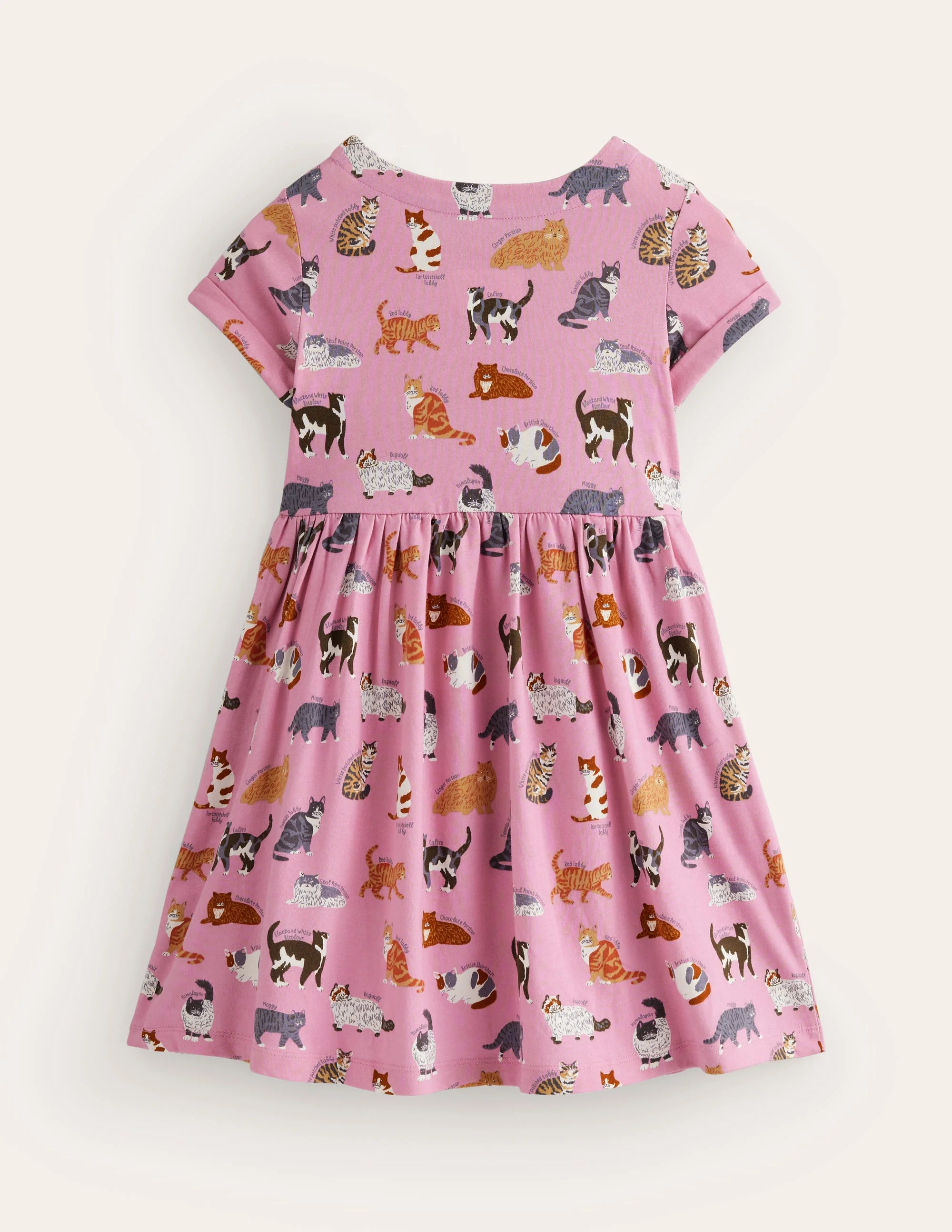 Lustiges Jerseykleid mit kurzen Ärmeln-Kirschblütenrosa Katzen - Image 2