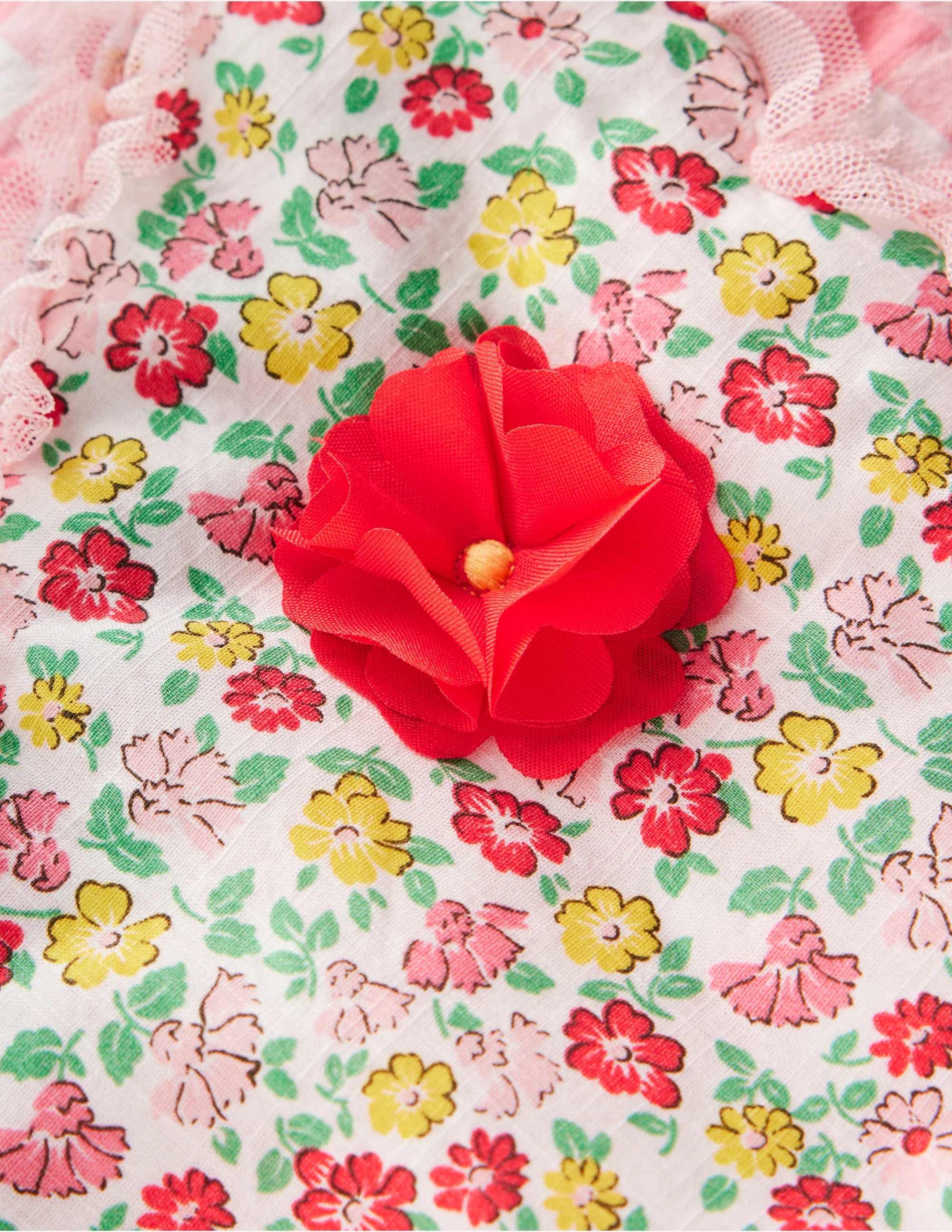 Schmetterlingsflügel-Cameo-Rosa, Schmetterling - Image 4